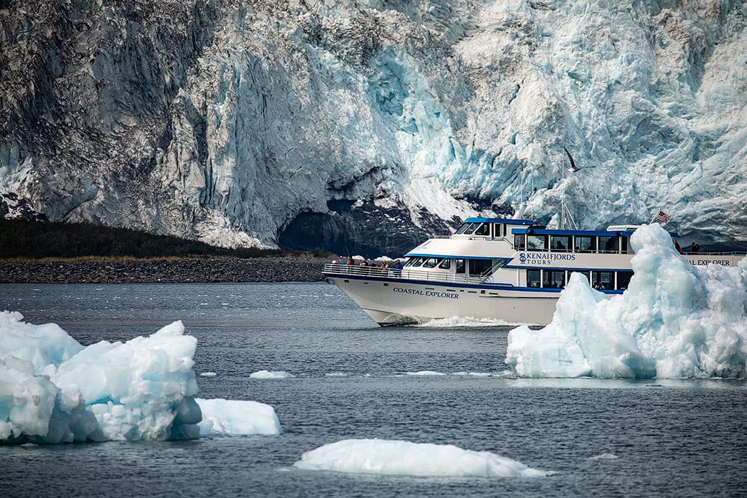 kenai fjords cruises
