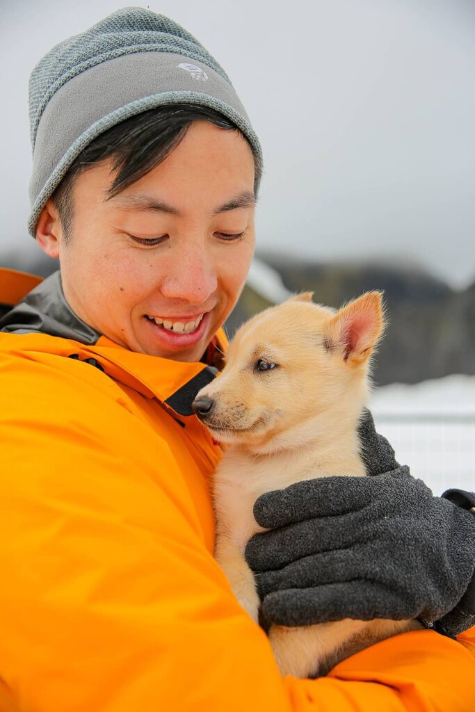 seavey dog sledding