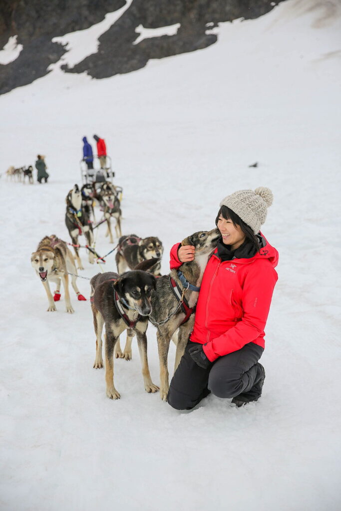 seward dog sledding