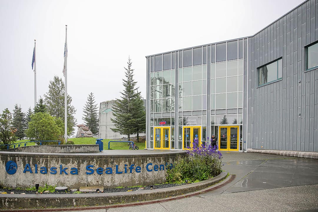 seward sea life center