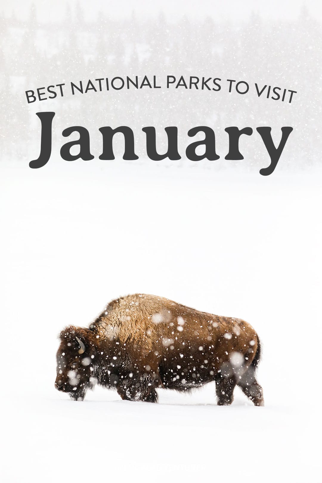 best national parks to visit in january