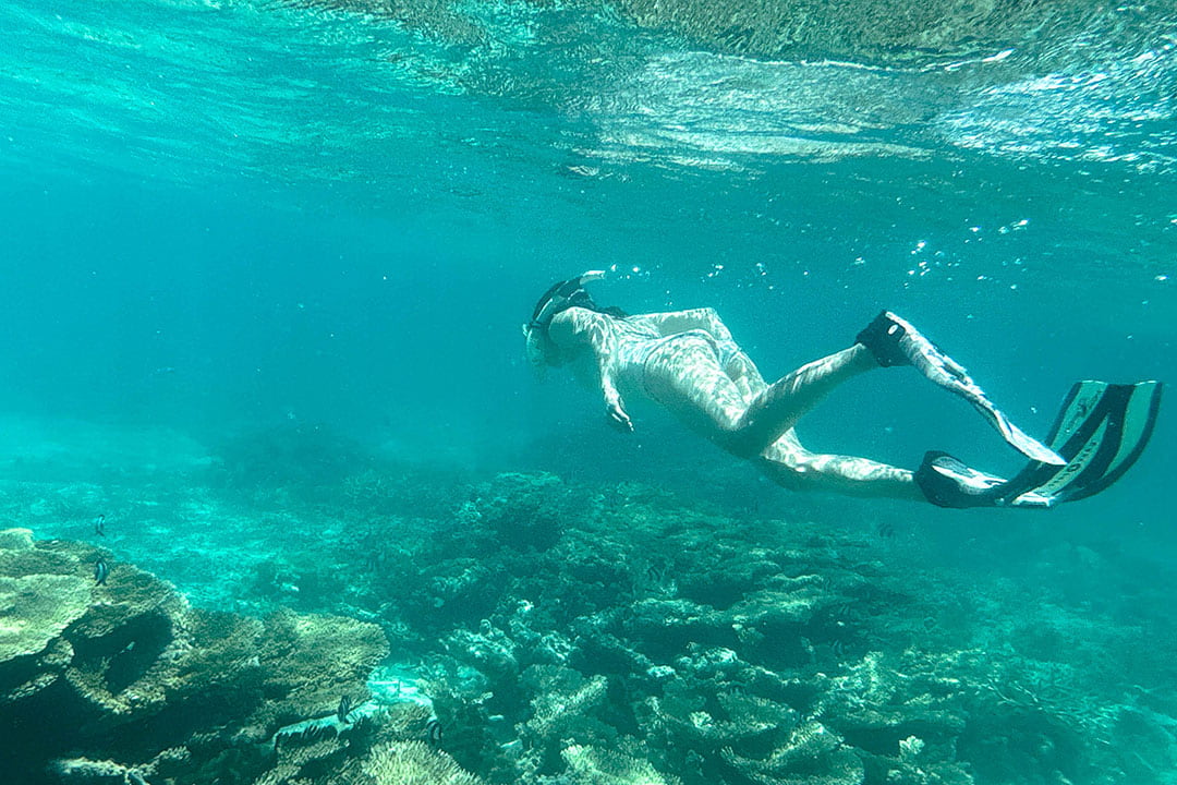 best snorkeling in mauritius