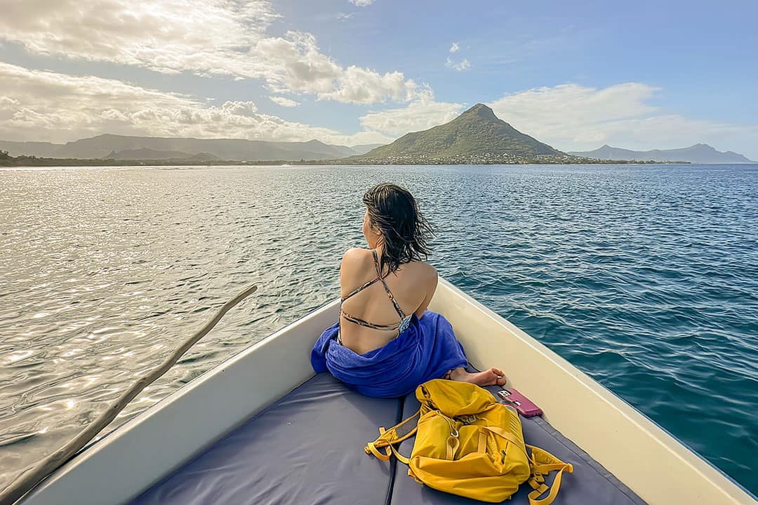 mauritius dolphin swimming