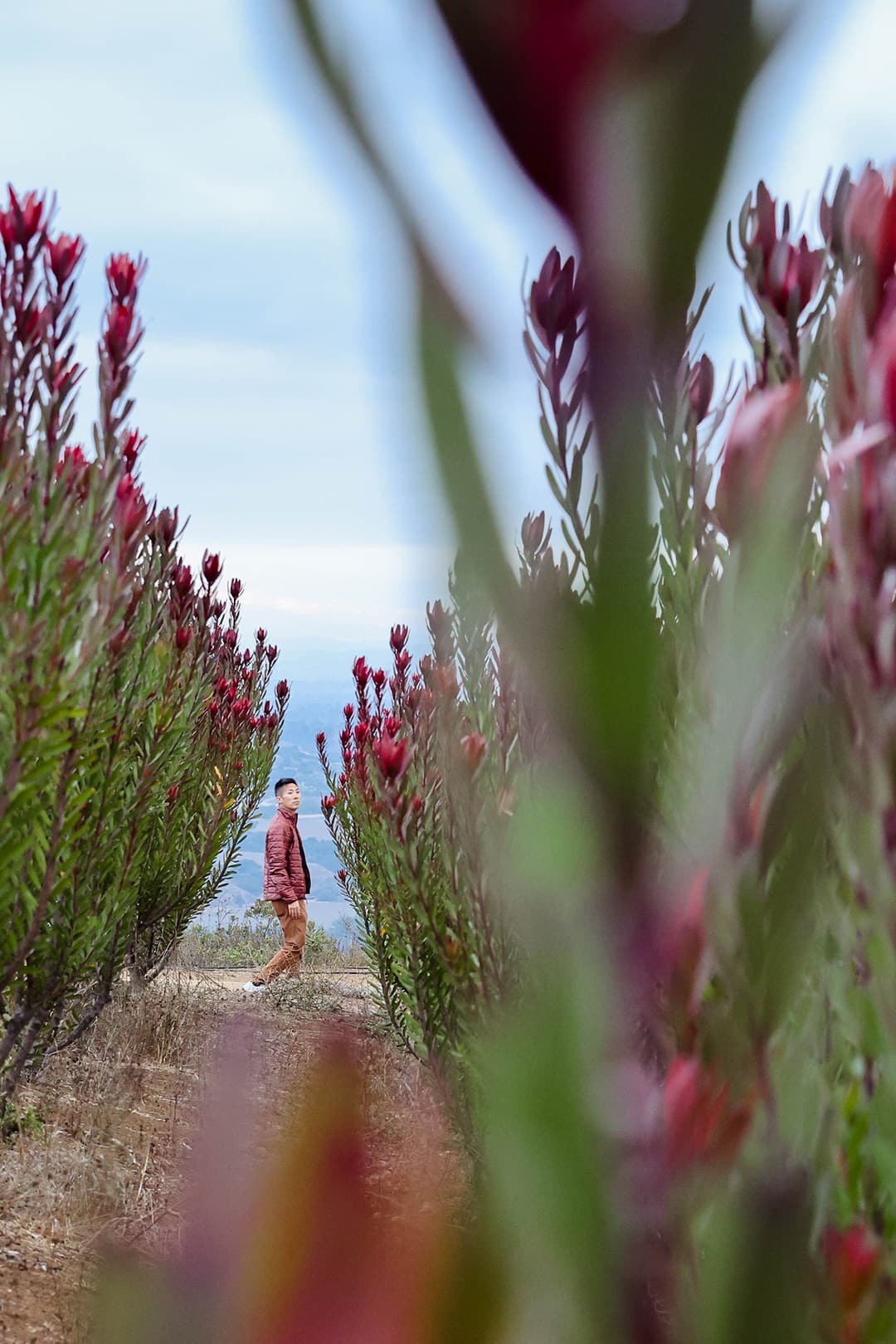 patagonia nanopuff mens best travel jackets