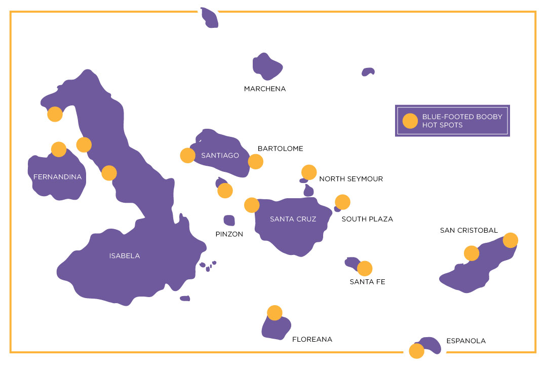 Where to Find the Blue Footed Boobies Map