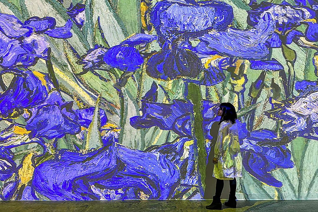 Immersive Van Gogh Exhibit – What You Must Know » Native Adventurer