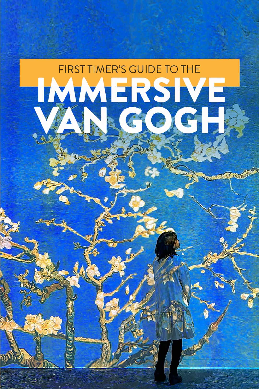 Immersive Van Gogh Exhibit What You Need to Know » Local Adventurer