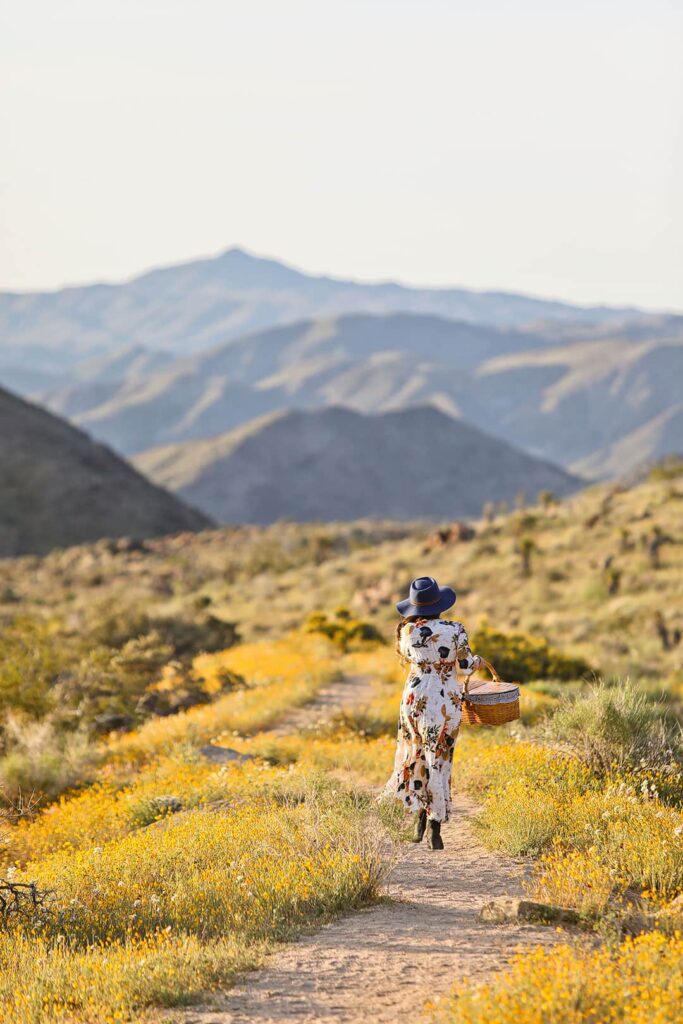 wildflowers in joshua tree super bloom + 7 best national parks to visit in march