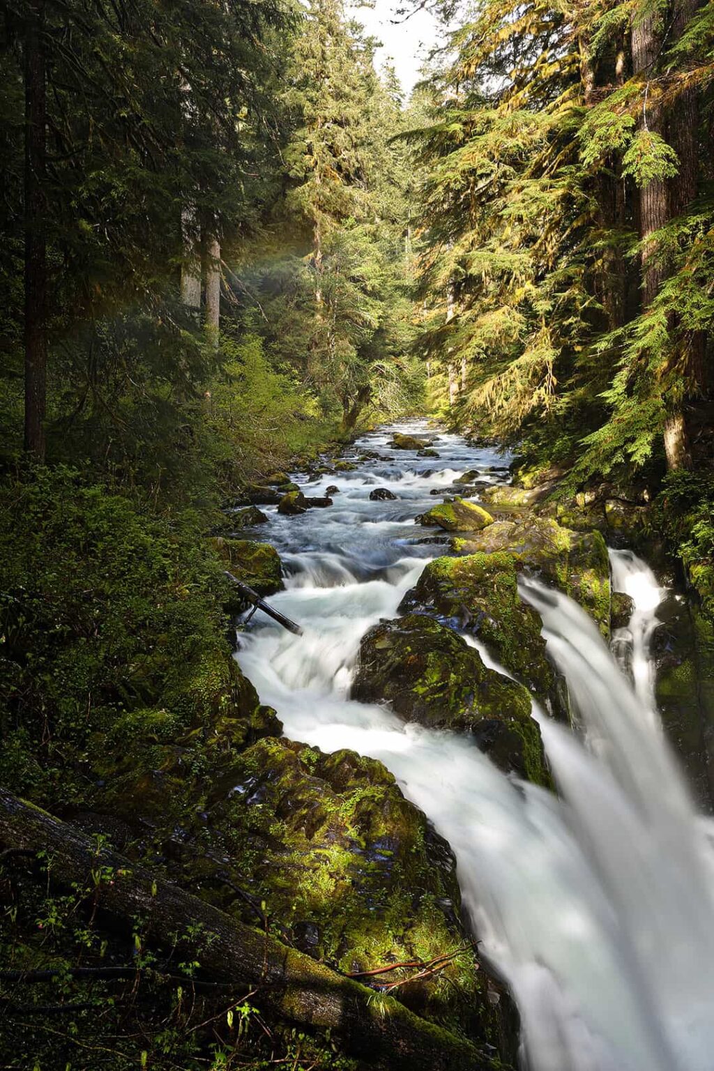 15 Best Weekend Getaways from Seattle WA » Local Adventurer