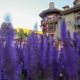15 Exciting Things to Do in Vail in Summer