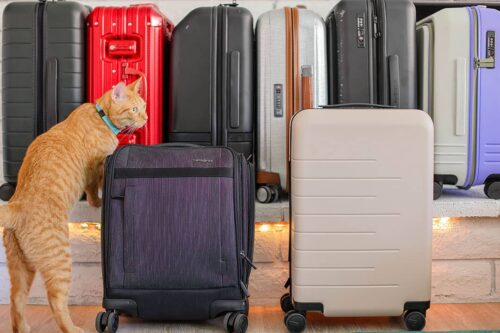 The Best Carry On Luggage 2024 + How to Pick the Right Suitcase for You