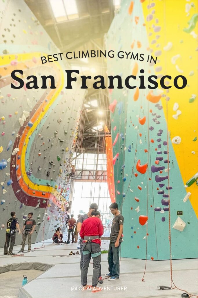 san francisco climbing gyms
