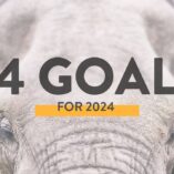 24 Goals for 2024 – Year of Reinvention