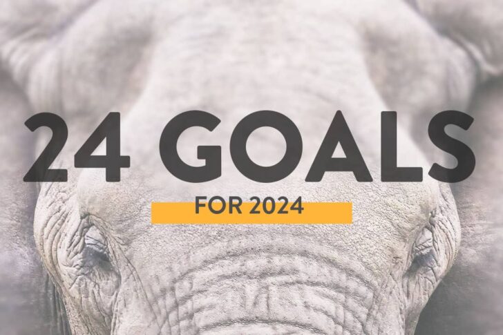 24 goals for 2024