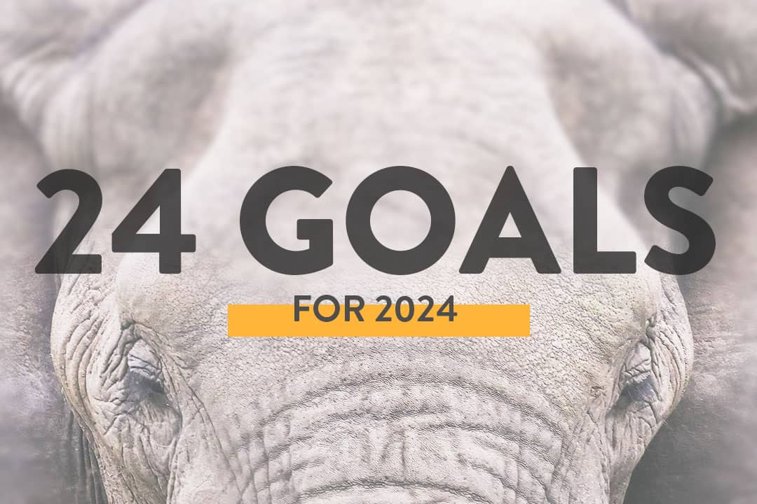 You are currently viewing 24 Goals for 2024 – Year of Reinvention