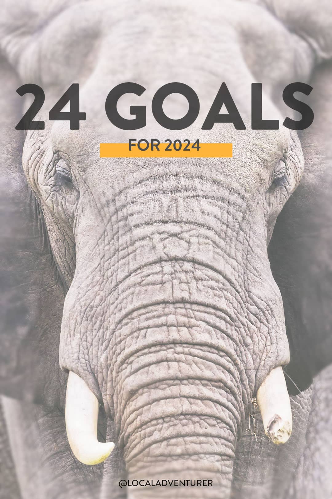 24 goals for 2024