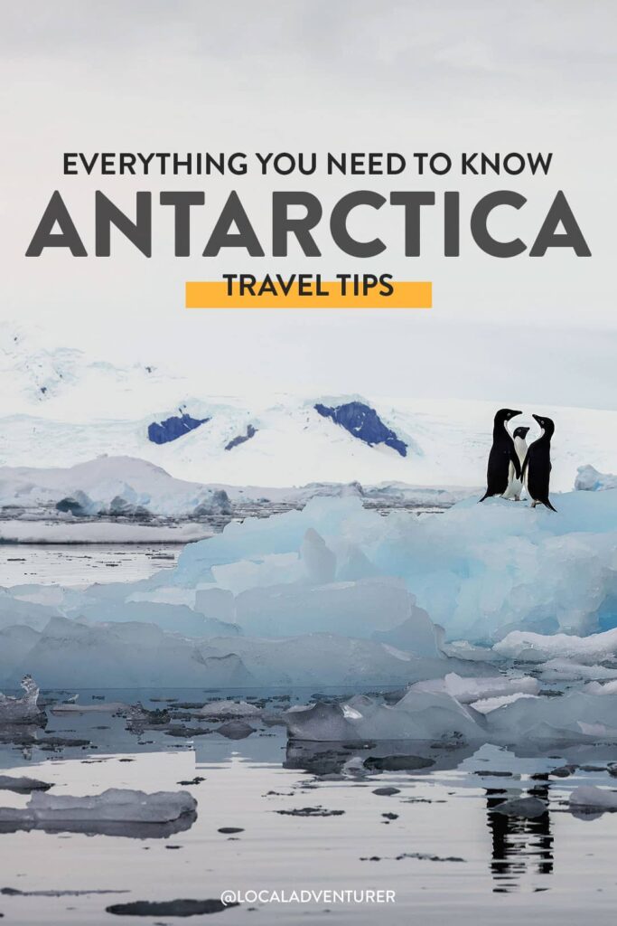 17 Things You Need to Know Before Visiting Antarctica Travel Tips