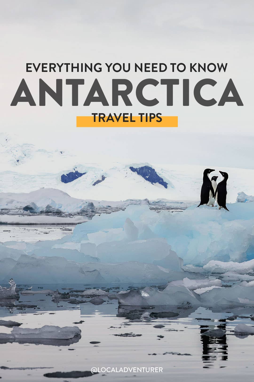 17 Things You Need to Know Before Visiting Antarctica Travel Tips