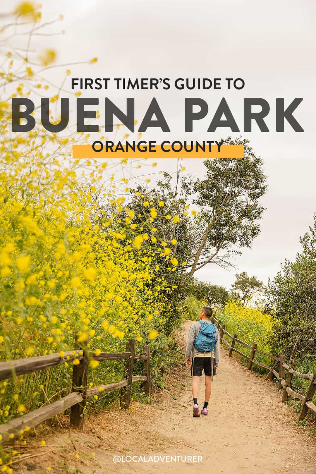 things to do in buena park ca