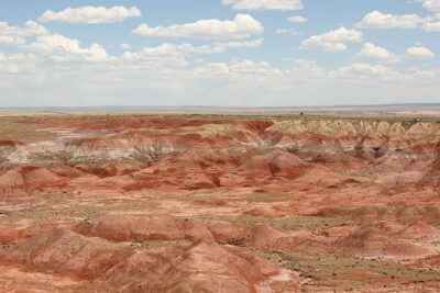 petrified forest painted desert