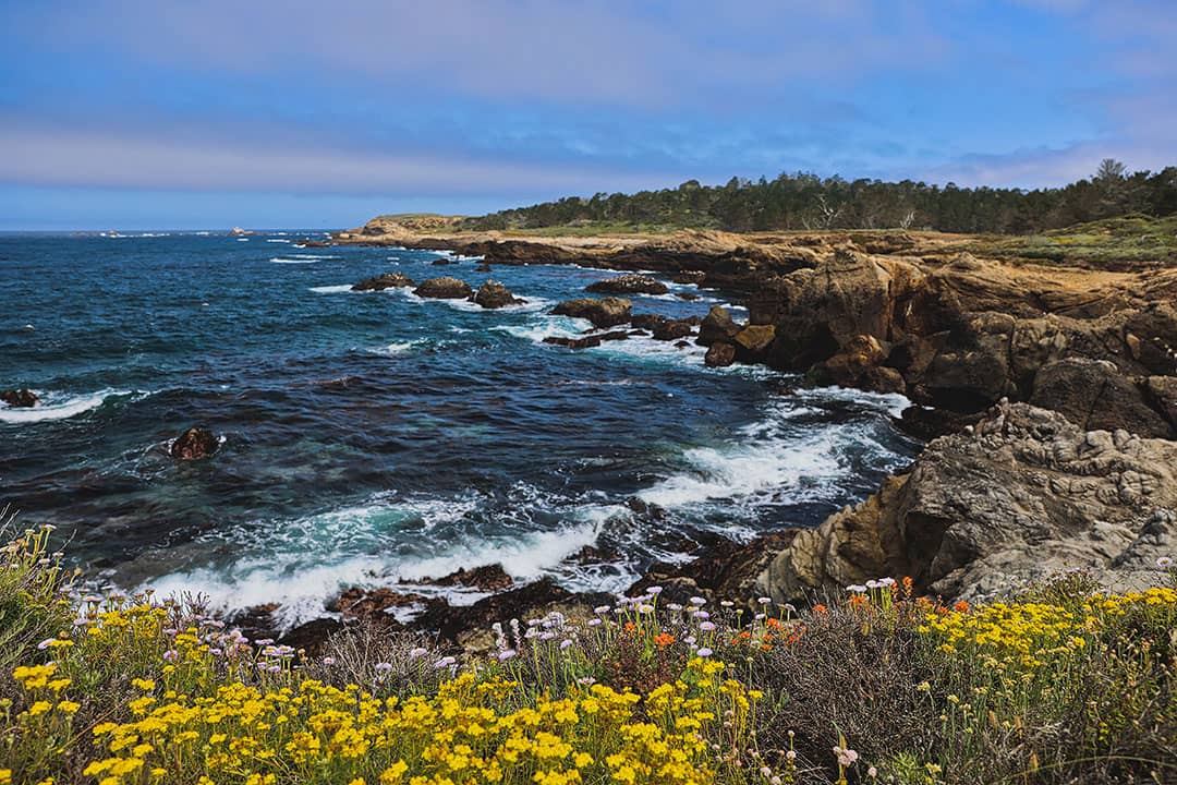 carmel point lobos state park