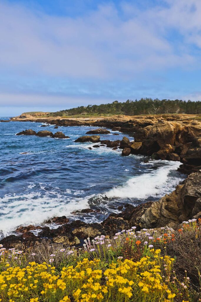 china cove point lobos state nature reserve photos