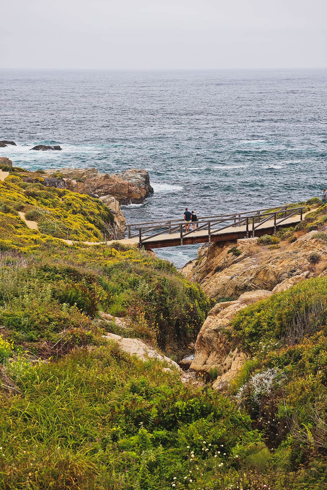 garrapata state park bluff trail