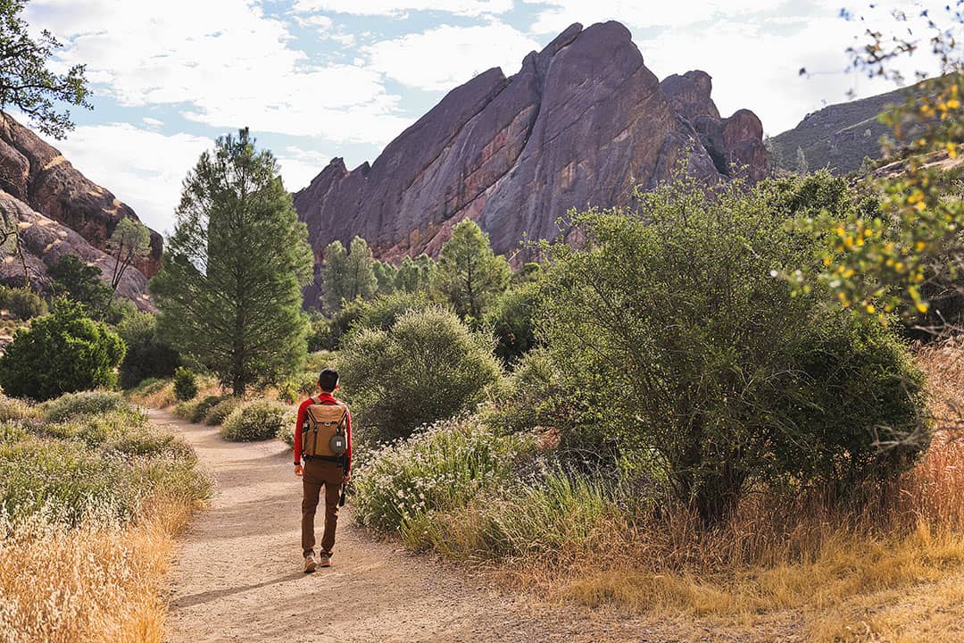 hiking pinnacles national park