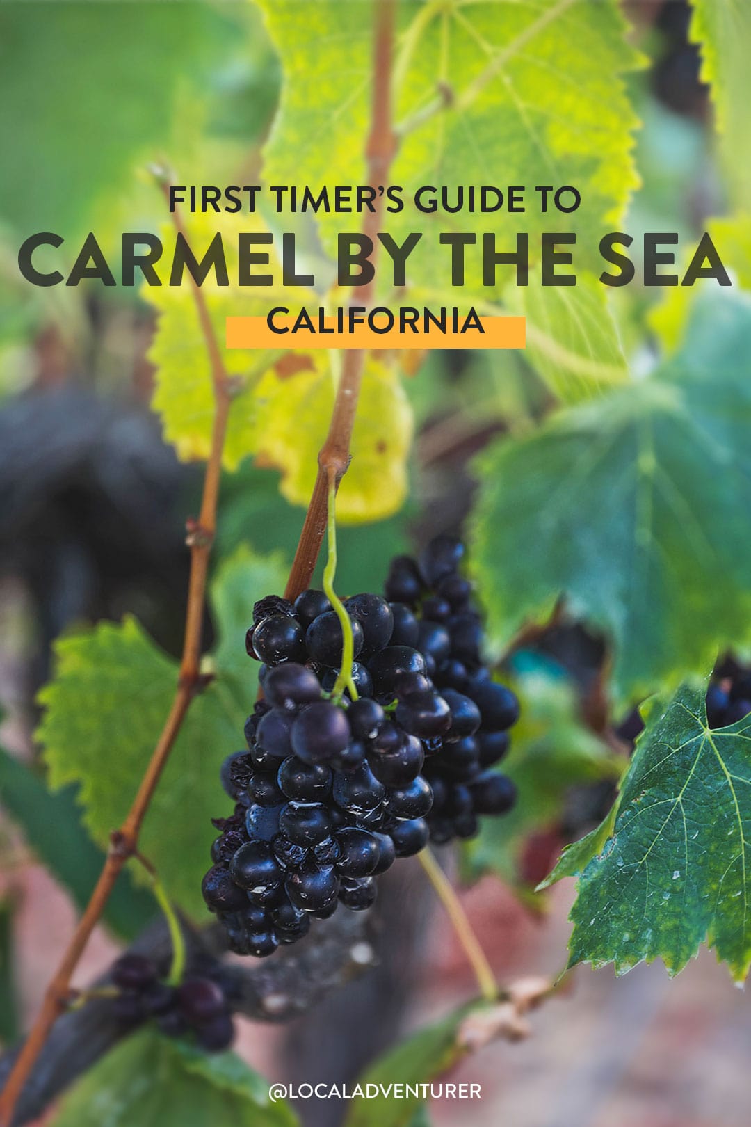 things to do in carmel-by-the-sea