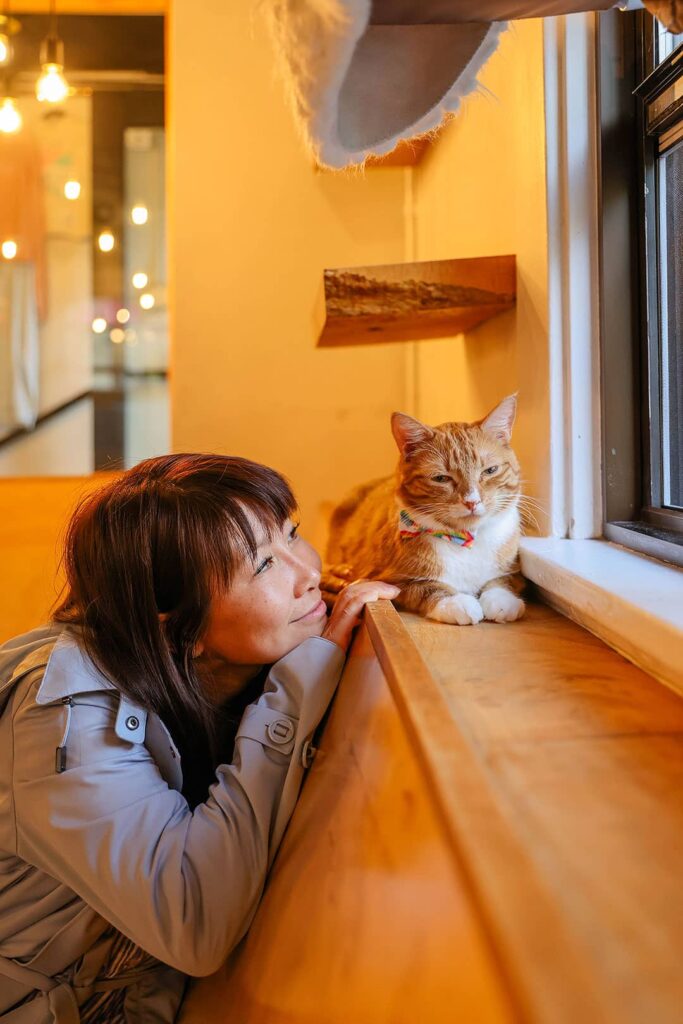 neko cat cafe seattle