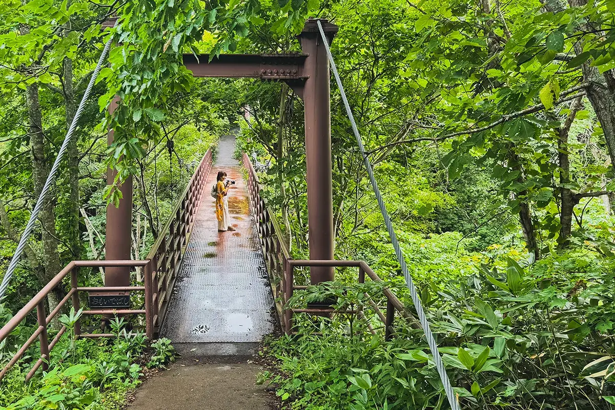 himenuma pond hike
