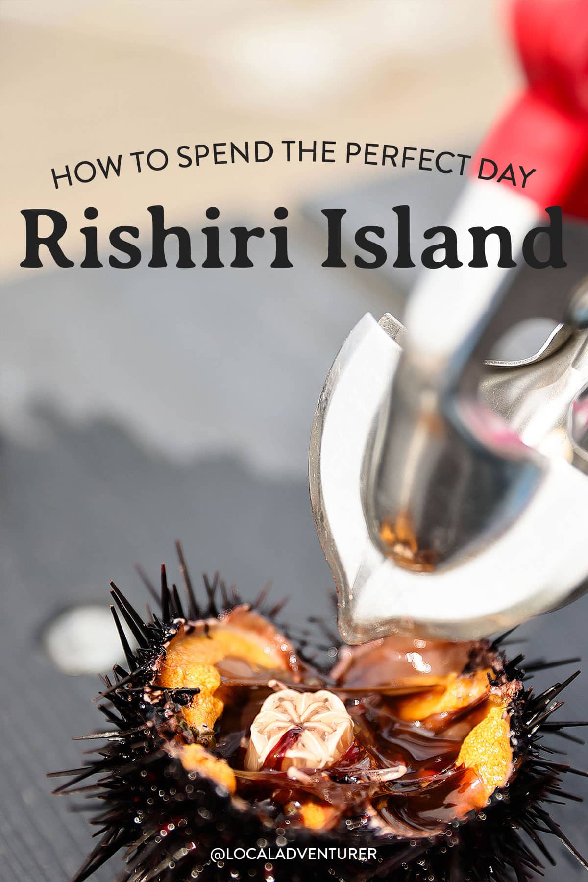 what to do on rishiri island japan