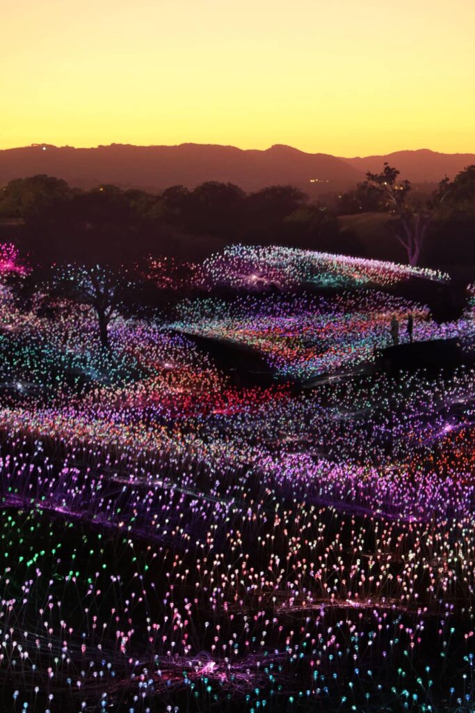 field of lights paso robles
