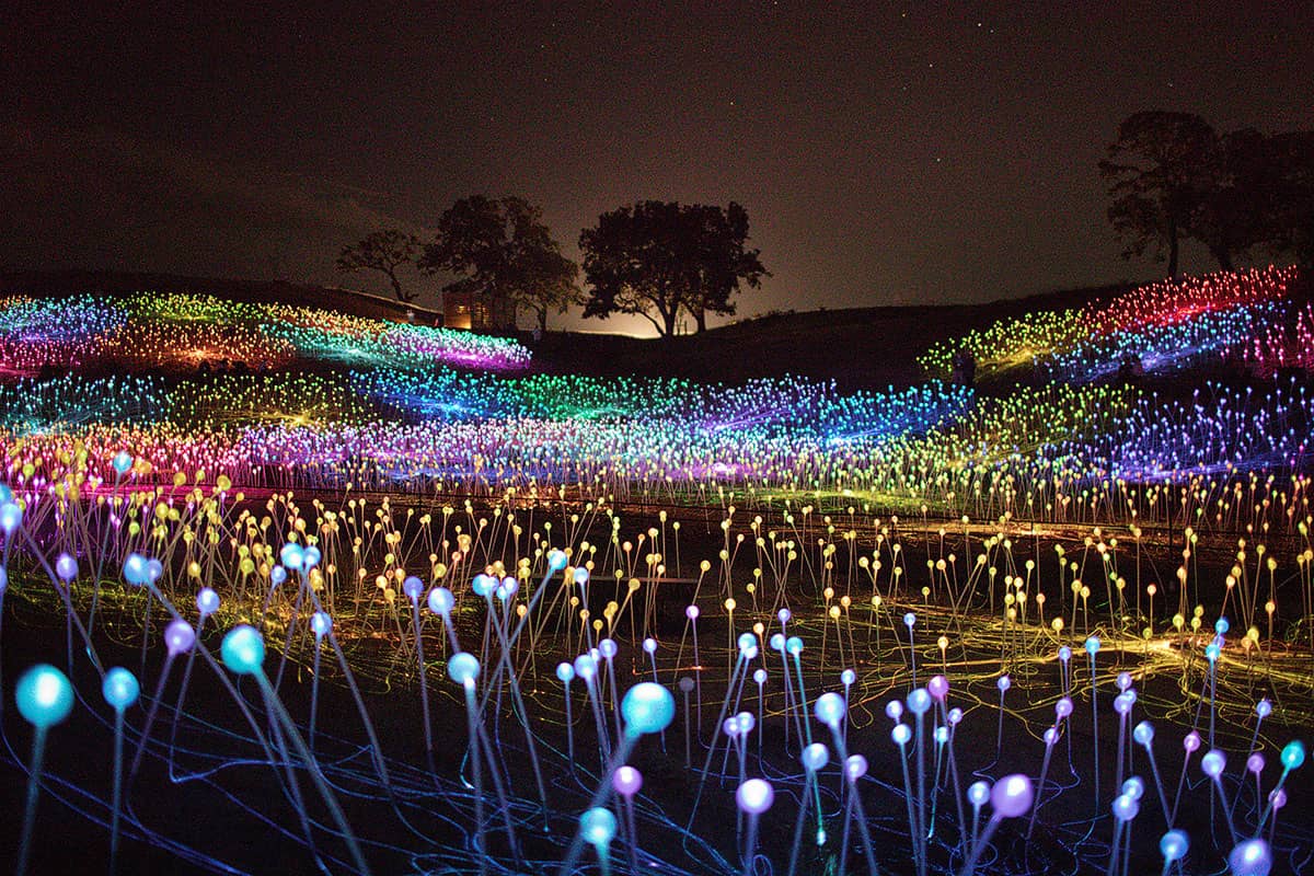 sensorio field of light bruce munro paso robles california