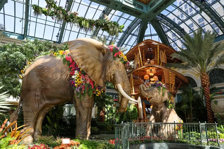 bellagio conservatory summer 2026