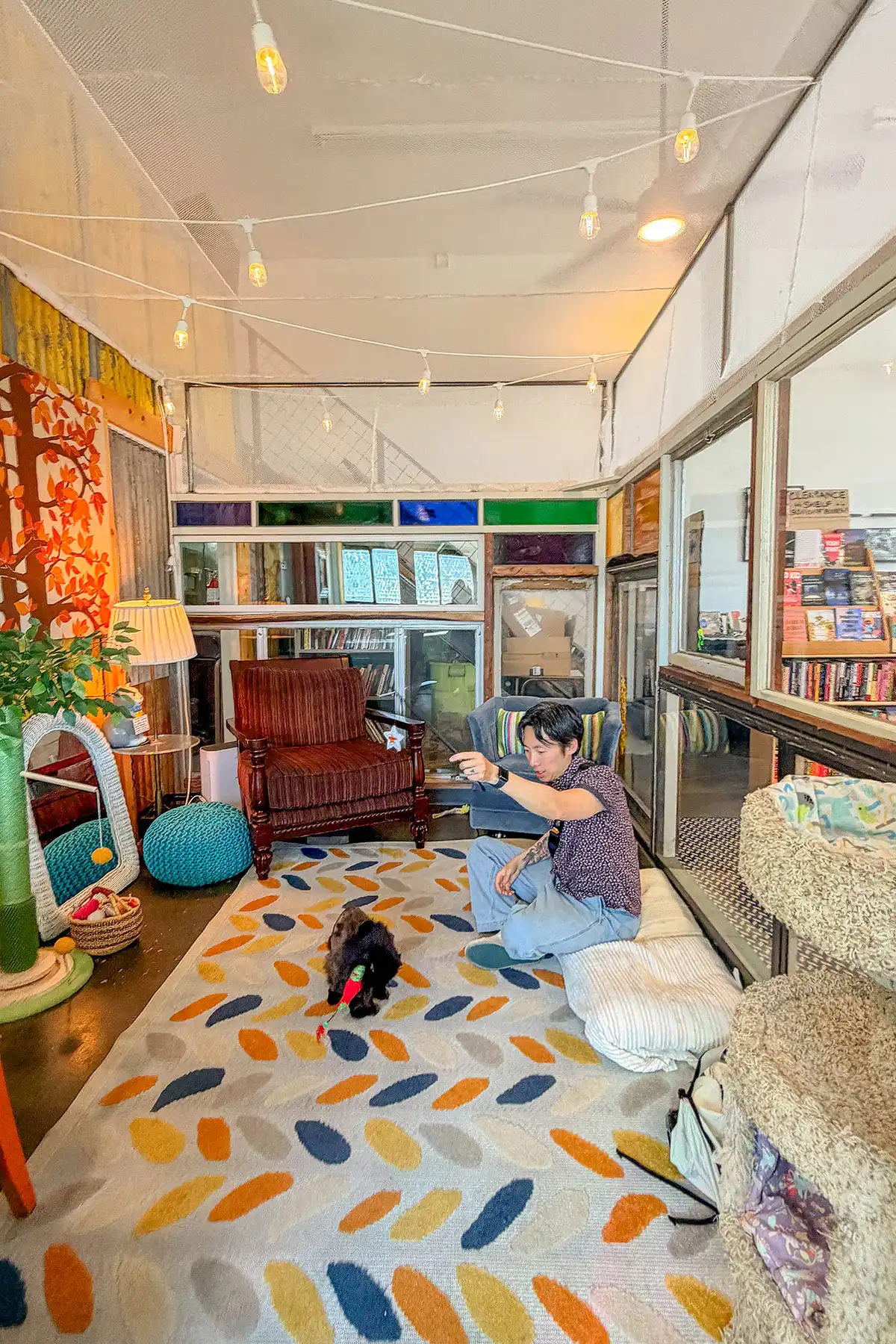 radical cat reno