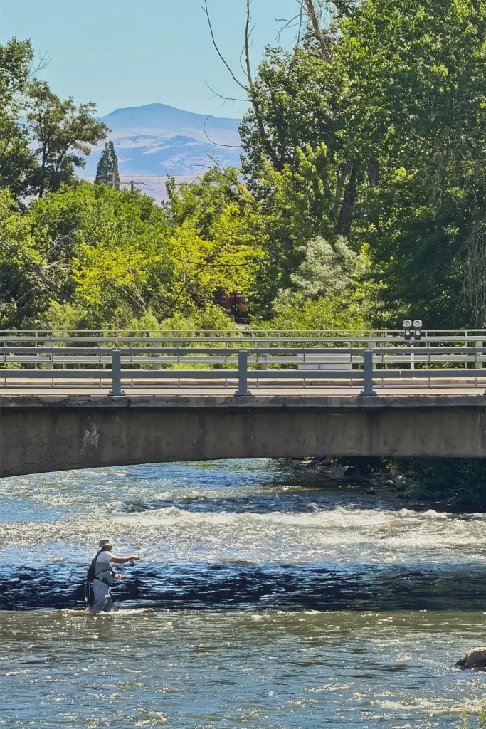 truckee river in reno