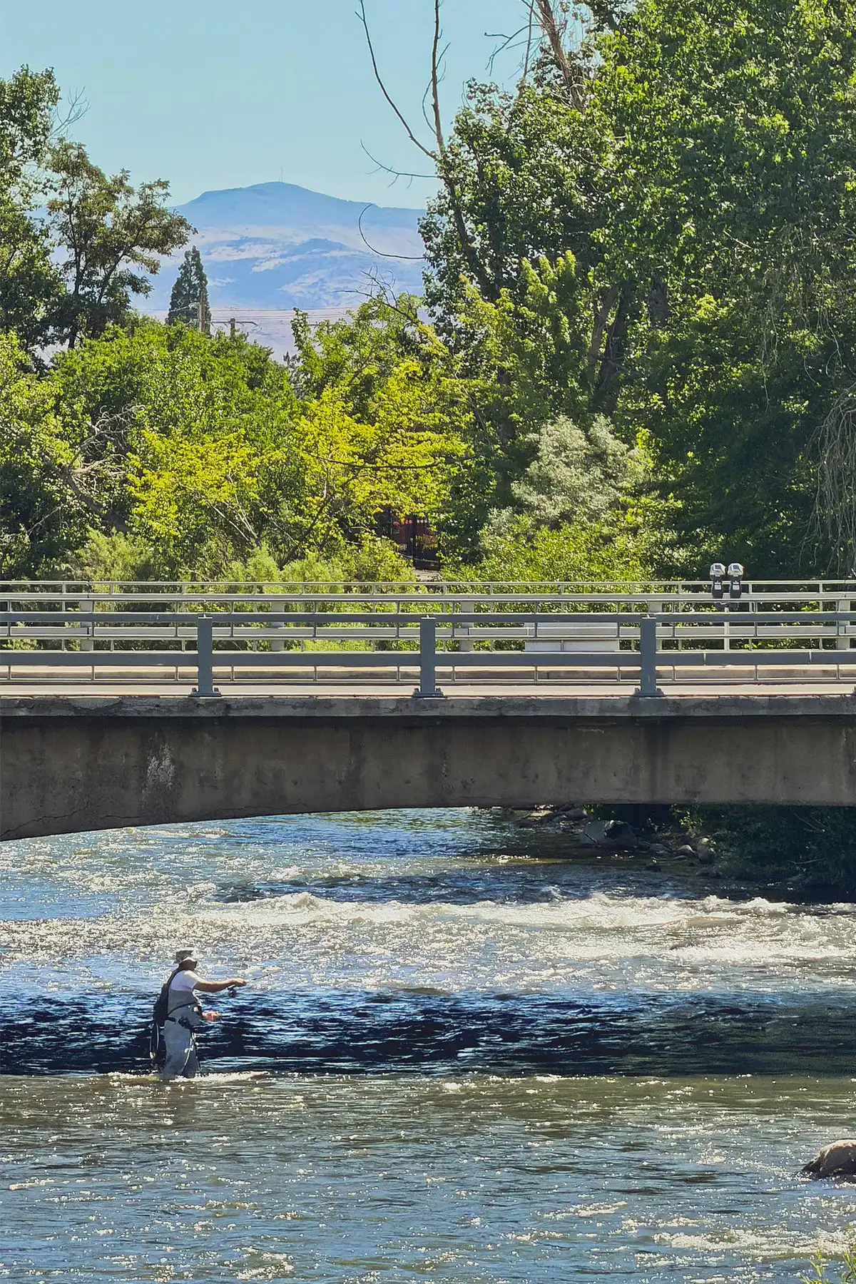truckee river in reno